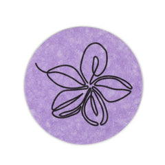 Facial & Body Cleansing Sponges, Compostable & Eco Friendly. Cellulose or Konjac