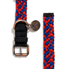 BetterCollar - 100% Fairtrade Recycled Ocean Bound Plastic Dog Collar