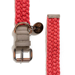 BetterCollar - 100% Fairtrade Recycled Ocean Bound Plastic Dog Collar