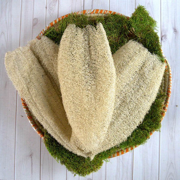 Ugandan Exfoliator Natural Loofah (Ekyangwe)