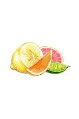 Lots of Purpose Spray Cleaner | Sunburst Citrus