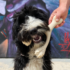 BetterBone SOFT Durability CHEW TOY: Natural Ingredients, Perfect for Teething Puppies, Senior Dogs & Gentle Chewers
