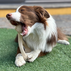 BetterBone SOFT Durability CHEW TOY: Natural Ingredients, Perfect for Teething Puppies, Senior Dogs & Gentle Chewers