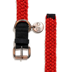 BetterCollar - 100% Fairtrade Recycled Ocean Bound Plastic Dog Collar