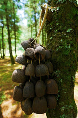 Seed Shaker | Handmade Salin Water Bellwood Seed Shell Hand Bell – Natural Rainforest Decor